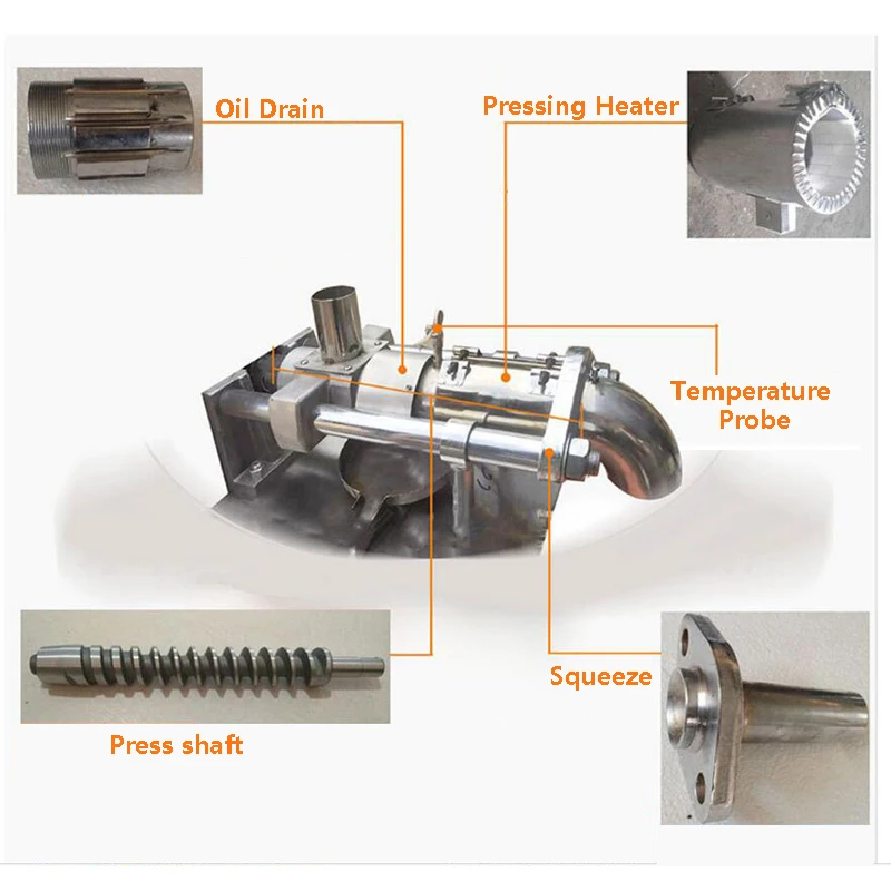 Version Commercial Automatic Oil Presser Commercial Oil Squeezer Medium Pressing Screw Seed Press Machine