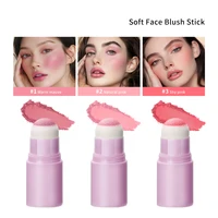 Matte Blusher Blush Sponge Makeup Contour Makeups Face Matte Rouge Powder Blushes Peach Palette Stick Cosmetics Pink 2