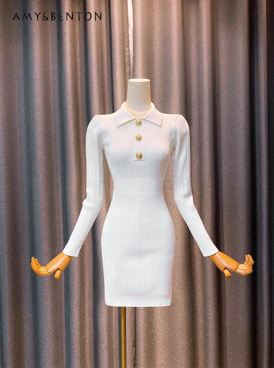 

Elegant Autumn and Winter Wild Bottoming Sweater Dress Fastener Decoration Slim Fit Sheath Dress Slimming Long Sleeve Dress