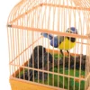 Voice Control Birdcage Toy Tots Toys Realistic Sounds Decorate Plastic Talking Chirping Parrot 2