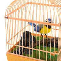 Voice Control Birdcage Toy Tots Toys Realistic Sounds Decorate Plastic Talking Chirping Parrot 2