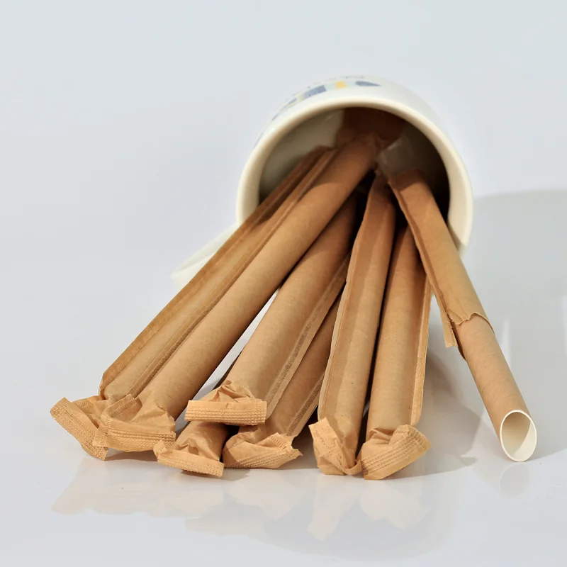400pcs Paper Straws 12*230 Bubble Tea Festival Biodegradable Disposable Straws for Drinking and Crafts