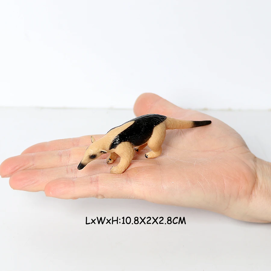 Anteater B