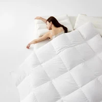Sondeson King 100% Goose Down Duvet Filler 3D Bread Quilt Comforter Winter All Season