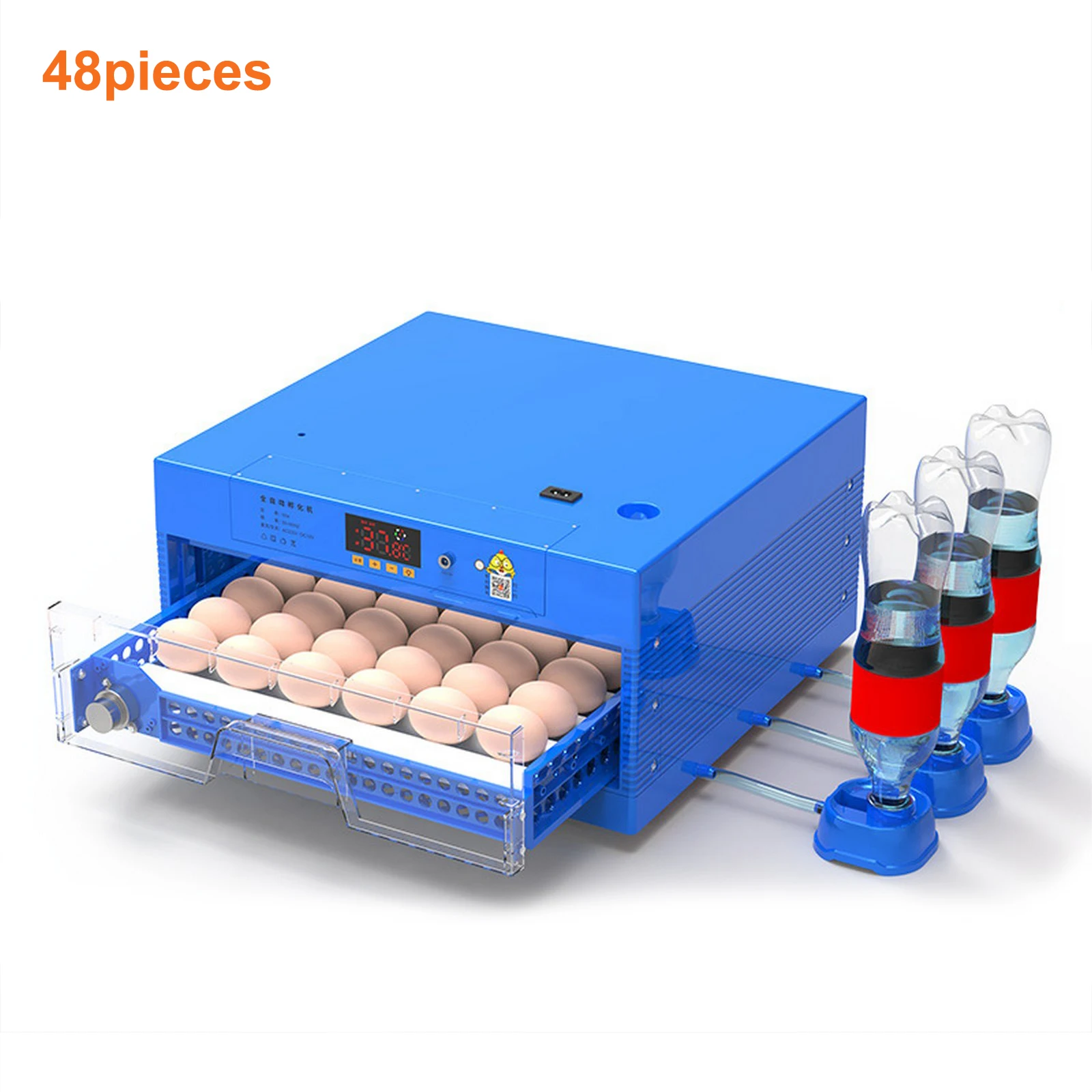 48 eggs
