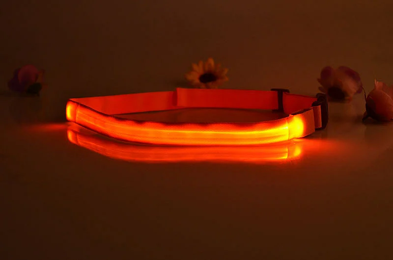 100CM LED 발광 벨트 나일론 버클 경마 승마 야외 달리기 조깅 스케이트 안전 경고 벨트 말 장비