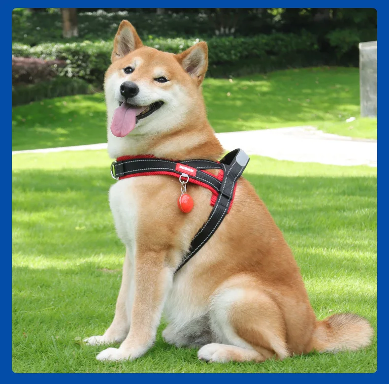 Dog Harness No Pull Reflective Vest For Small And Medium Dogs_voghion.com