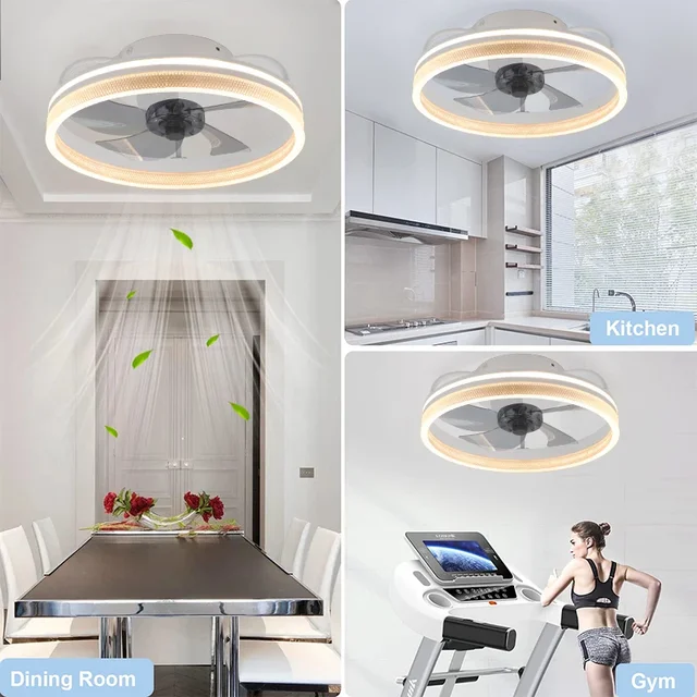 Ceiling Fan 6