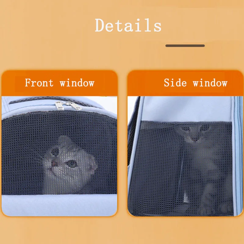 S8f995578b023489aa9de90e22d57377ay