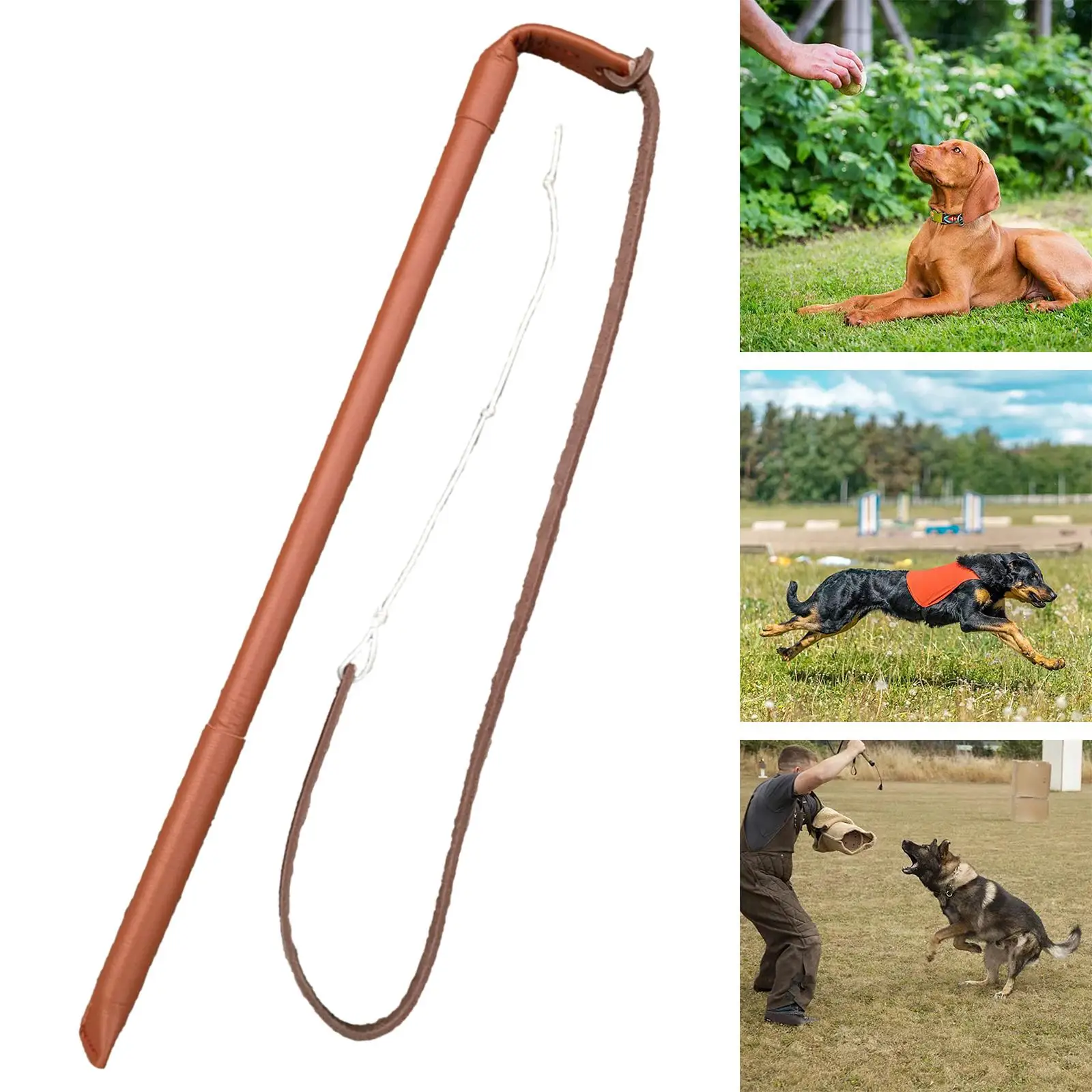 Professional Dog Training Agitation Whip Aggressive Pets Obedience Entertainment Agility Training Exercise Toy