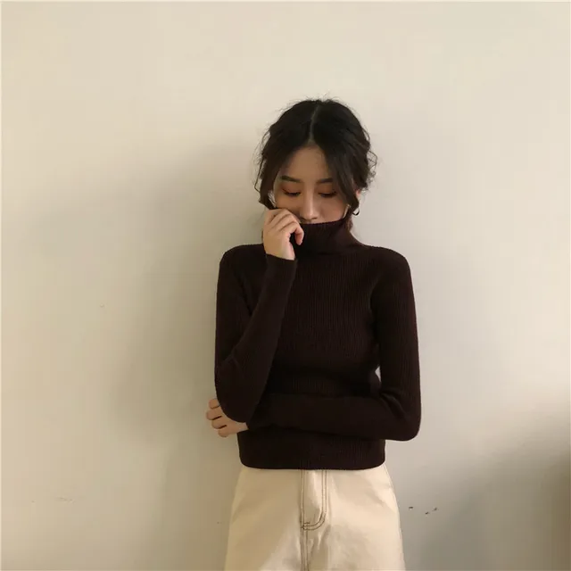 Women Heaps Collar Turtleneck Sweaters Autumn Winter Slim Pullover Women Basic Tops Casual Soft Knit Sweater Soft Warm Jumper 2