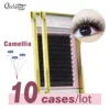 10 Trays Camellia Eyelash 3D-6D 0.03-0.07 Easy Fanning Natural Camellia Auto Fan Eyelashes Extension Golden Box High Quality 1