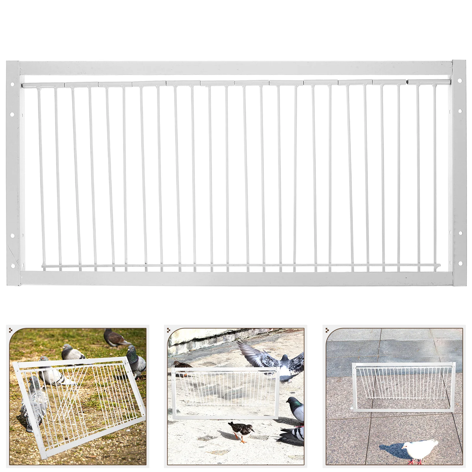 

Racing Pigeon Birdcage Door Iron Pigeon Birds House Door Pigeon Supplies