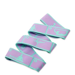 Enhanced Fitness Resistance Stretch Band (8 Grid- Purple Green)