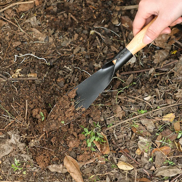 Háztartási Kerti Virág Lapátvirág És Fű Ültetési Szerszám Kerek Fej Lapát Cserepes Növény Lazító Talaj Hegyes Lapáttal - Image 3