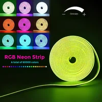 Lumières LED néon flexibles de 5M/10M, contrôle avec application/télécommande, plusieurs Modes, veilleuses rvb extérieures étanches IP65 2