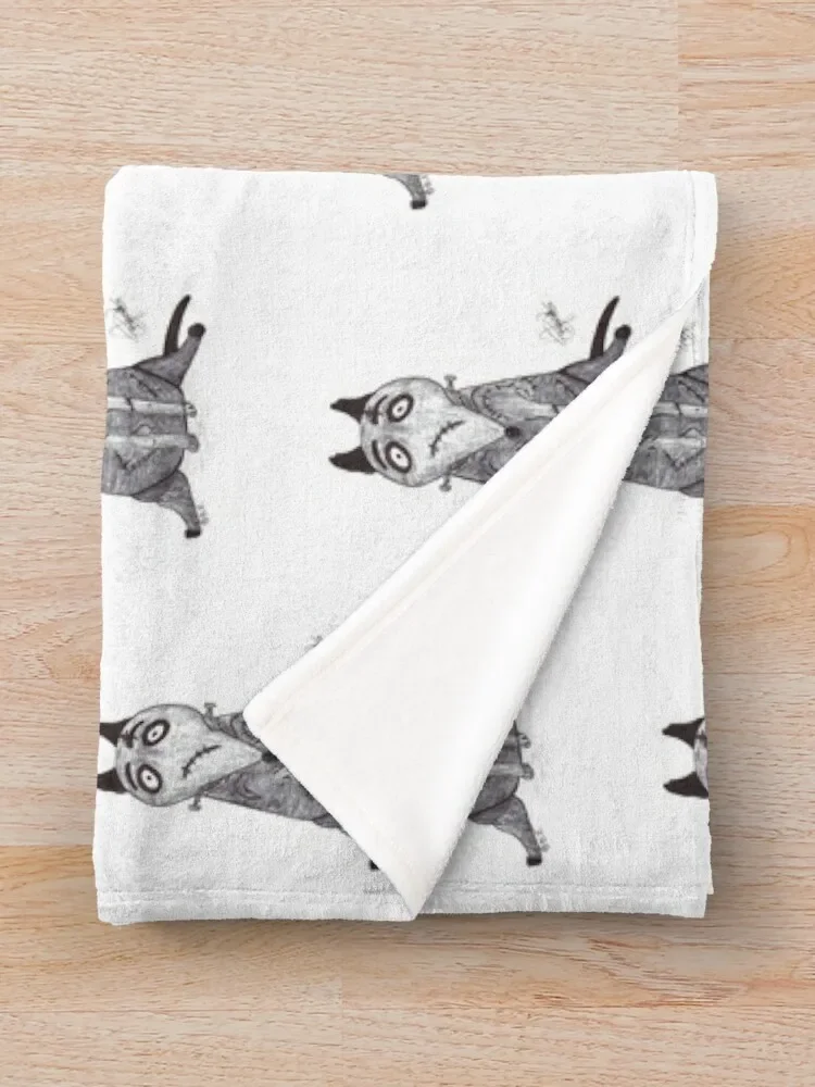 ��¦�̴� ���ο� ��� ��� ħ��, �ܿ� ħ��, ǫ���� �Ӹ�, �Ƹ��ٿ� ���