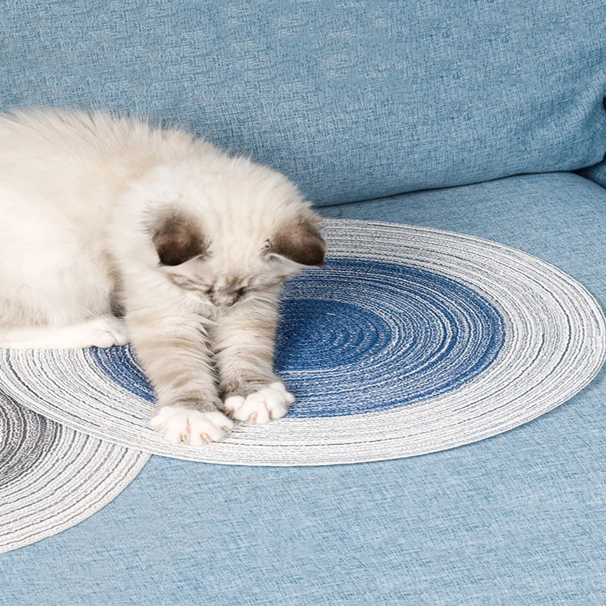 Indoor Cat Scratching Pad Board