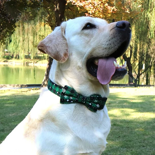 Dog Collar with Bow tie,Christmas Plaid Snowflake Dog Collar with Adjustable Buckle Suitable for Small Large Dogs Cats Pets 5