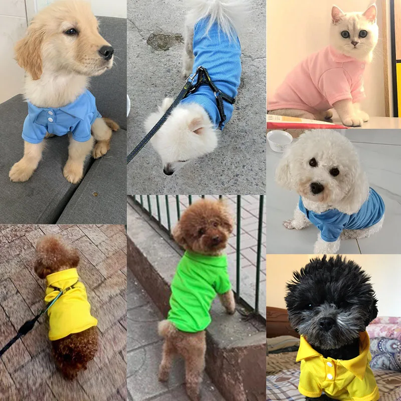 Pet Dog Shirt Spring Dog Shirts 6 Candy Colors Vest Pet Polo Collar Breathable Solid Shirts Chihuahua Yorkshire Dog and Cat Casual
