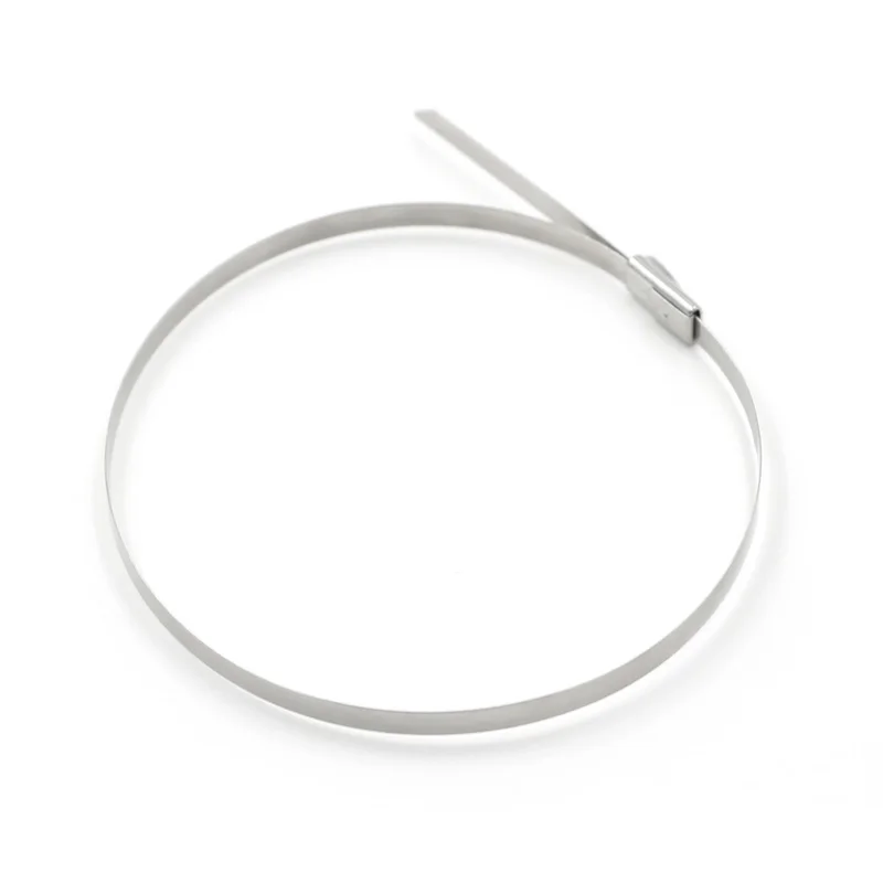 Self Locking 304 Stainless Steel Tie 4.6mm Multi-Purpose Locking Metal Cable Ties 150mm 200mm 250mm 300mm 400mm 500mm 10pcs