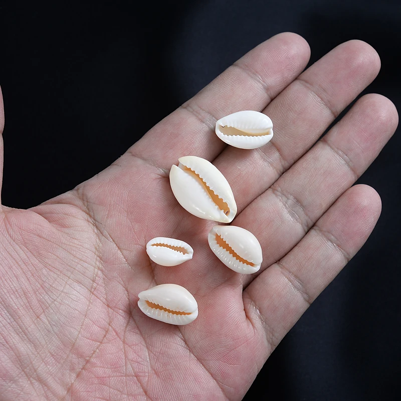 Shell Conch Beads Charm Oval Holes Loose Spacer Beads for DIY Jewelry Making Home Decoration Crafts natural shell ornaments