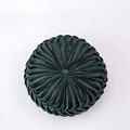 Pumpkin dark green