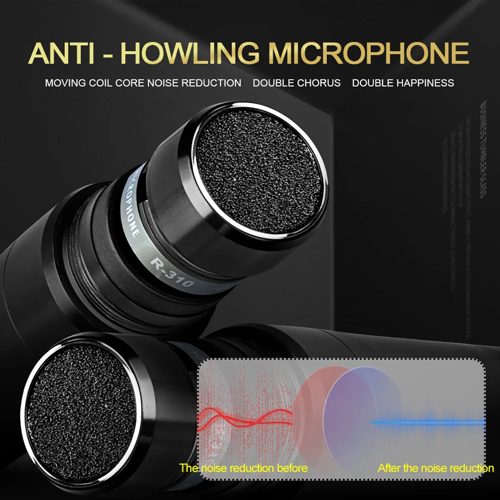 Wireless Microphone Handheld Depusheng R3 Dual Channels UHF Fixed Frequency Dynamic Mic For Karaoke Wedding Party Band Church