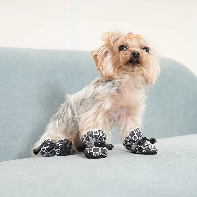Accessori Cani Inverno Scarpe Invernali Per Cani Piccoli