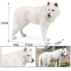 Wild Wolf Figurine - Realistic Animal Educational Toy (2518)