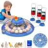 26-52 Eggs Automatic Incubator，Upgrade Automatic Water Adding，360 Degree View，incubators for hatching eggs，Without Install