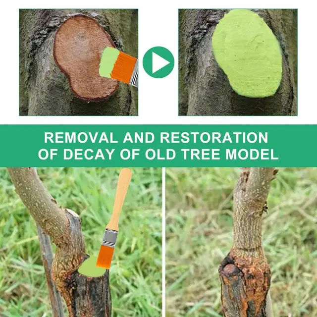 Metsző Tömítés A Fa Kerti Oltó Paszta Sebes Öltözködő Metszőfogyasztó Kefe Bonsai Sebgyógyító Szer - Image 3