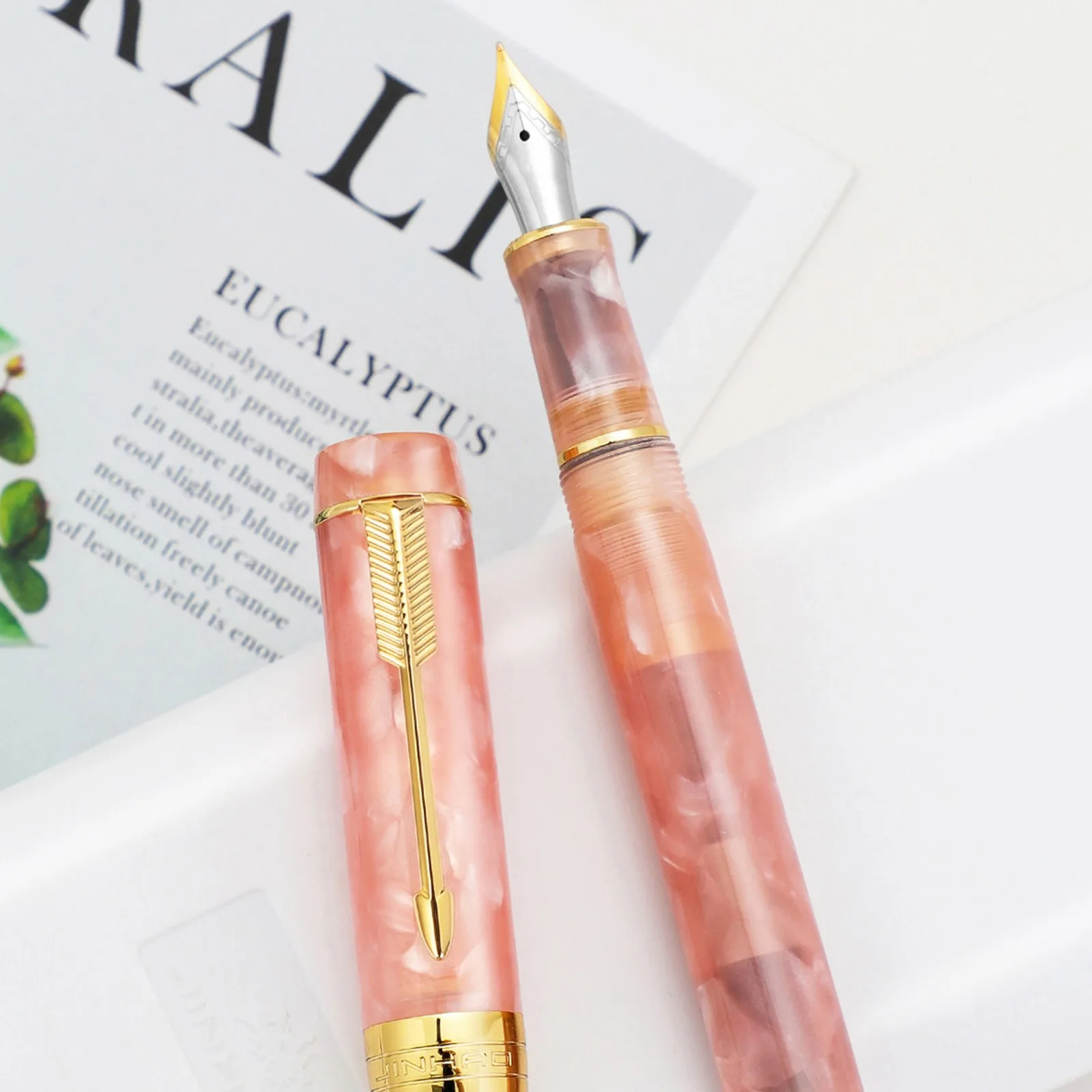 Jinhao 100 Ʋ ״Ͼ   F  ũ  ȯ, б Ͻ ʱ  , 0.5mm 