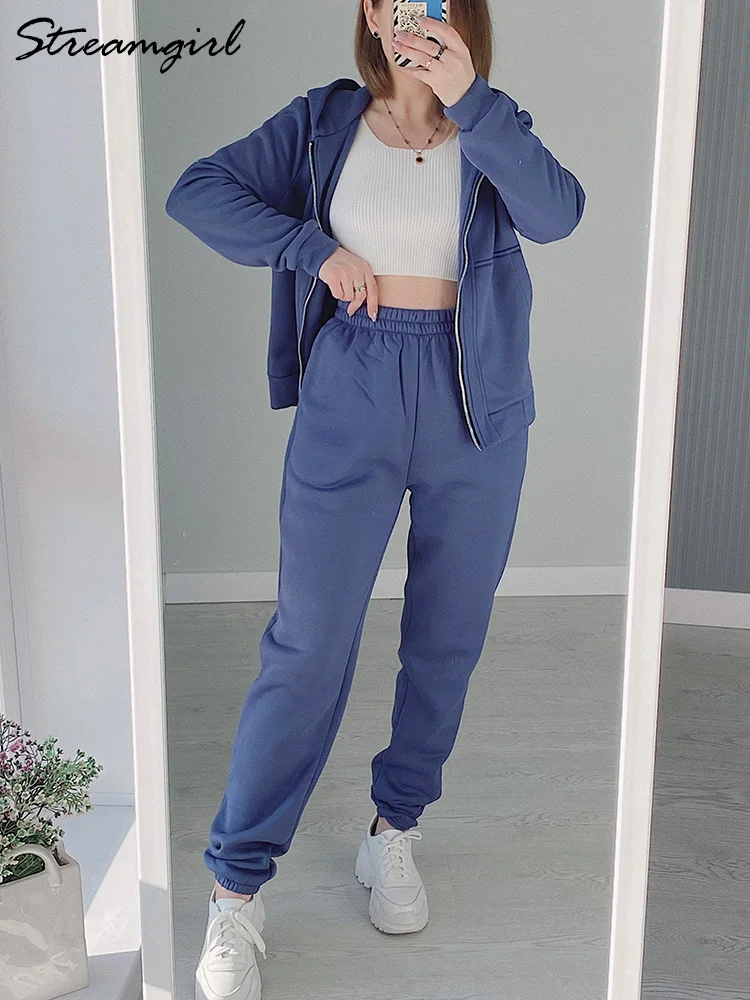 Streamgirl Winter Velvet Tracksuit Two Piece Set For Women Sweatpants Sets  Thick Women's Suit Warm Hoodies And Pants Sets Gray - AliExpress