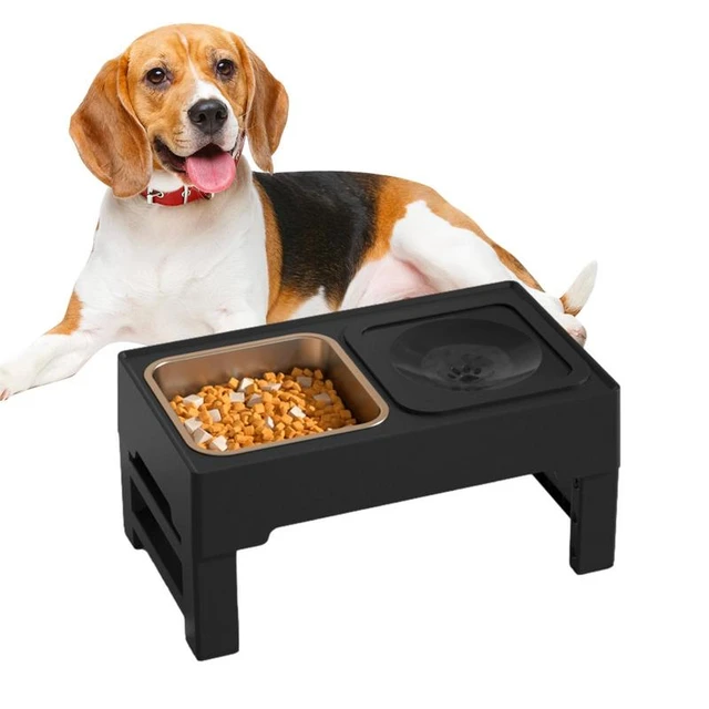 Elevated Dog Bowls 3 Adjustable Heights Raised Dog Food Water Bowl with  Slow Feeder Bowl Standing Dog Bowl for Medium Large Dogs - AliExpress