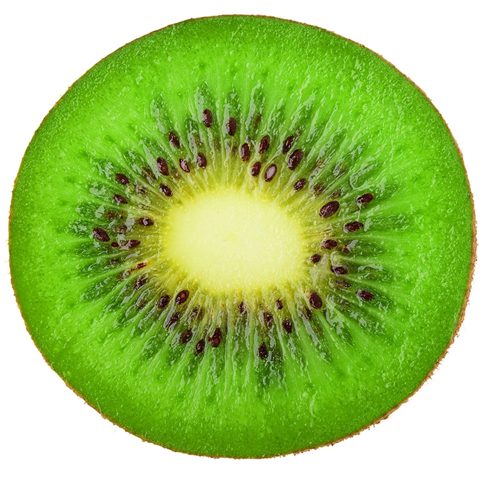 �ΰ� Ű�� ����Ʈ ���� ��ġ ��Ʈ, ��ũ�� ķ�� ��Ʈ, �β��� ������ �����ġ Ÿ��, ��ġ ������ ����, 90cm, 1 ��