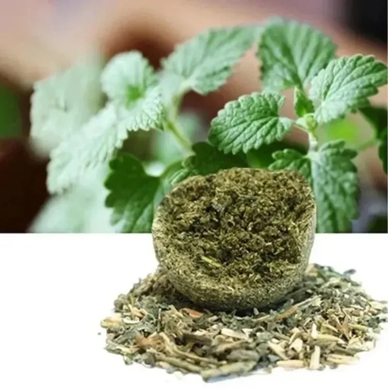 10 Pcs 15mm Healthy Natural Mint Ball Catnip Ball Playing Toy Molars Supplies Pet Snacks Cat Supplies pet toys cat toy cat mint treats