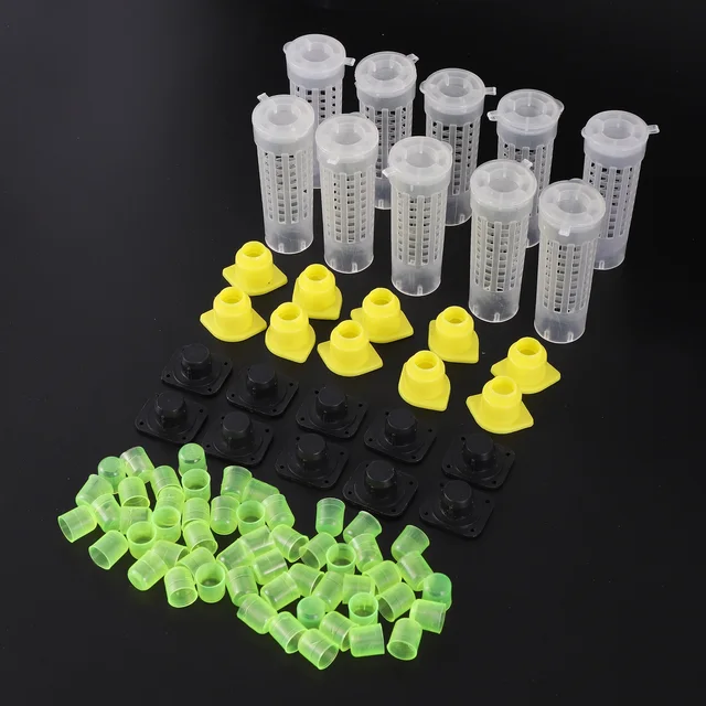 1 Kit Queen Méh Ketrec Foglyok Doboz Mézelő Migrációs Eszköz Kerti Méhészet Méhész Tenyésztő Apikultúra Kellékek - Image 3