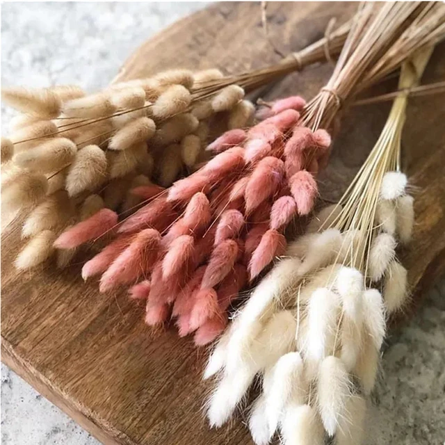 Decoración de flores naturales de Pampas secas esponjosas, hierba de cola  de conejo seca para arreglos florales de boda Boho, decoración de bricolaje  para el hogar de la habitación - AliExpress