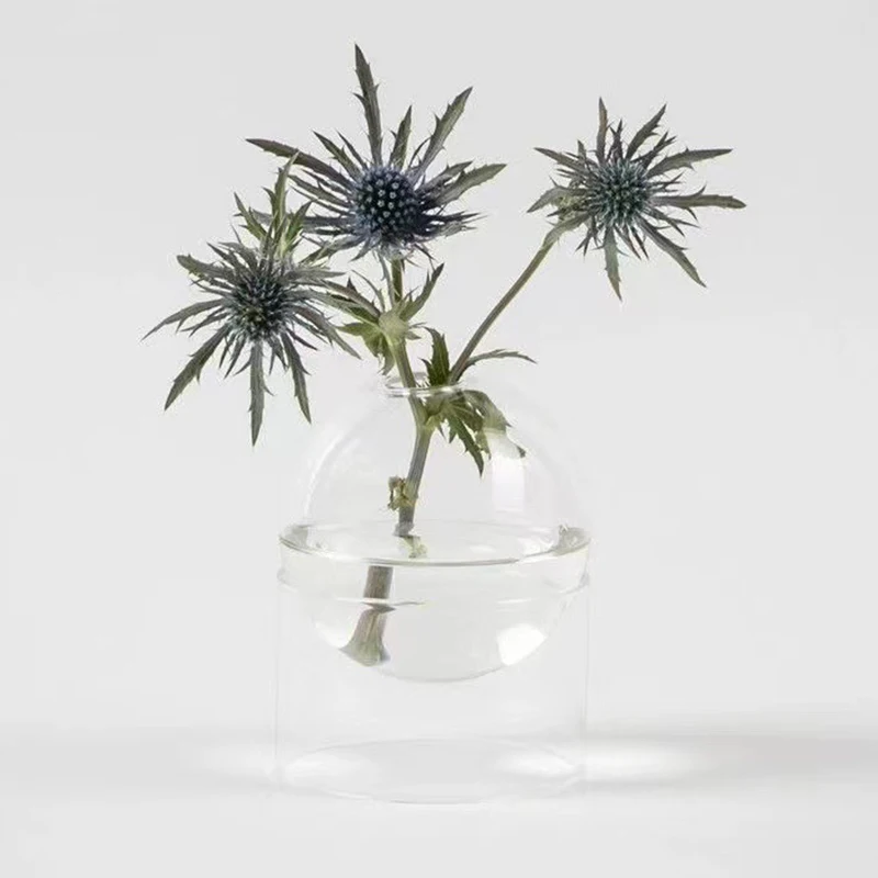 Vase en Verre Sphéroïdal Créatif pour Plantes Hydroponiques, Pot de Fleur Vintage, Plantes Brittop, Décor de Bonsaï pour la Maison