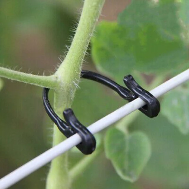 50 db Szőlő Rögzítő Kötött Klipek Csatolt Rögzített Kötőszerszám Zöldség Oltó Tartótámogató Klip Kerti Növény Szárak Rögzítőszeres Eszközök - Image 5