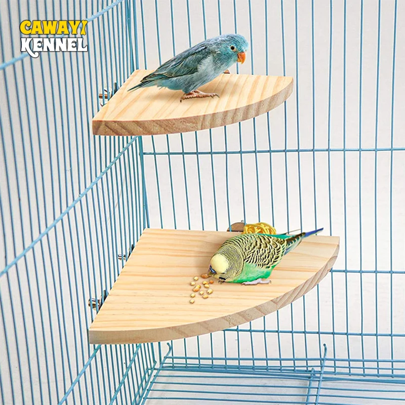 Fan-shaped Bird Parrot Wooden Stand Rack Bird Cage Accessories Perch for Small Animal Chinchilla Squirrel Hamster Stand Board