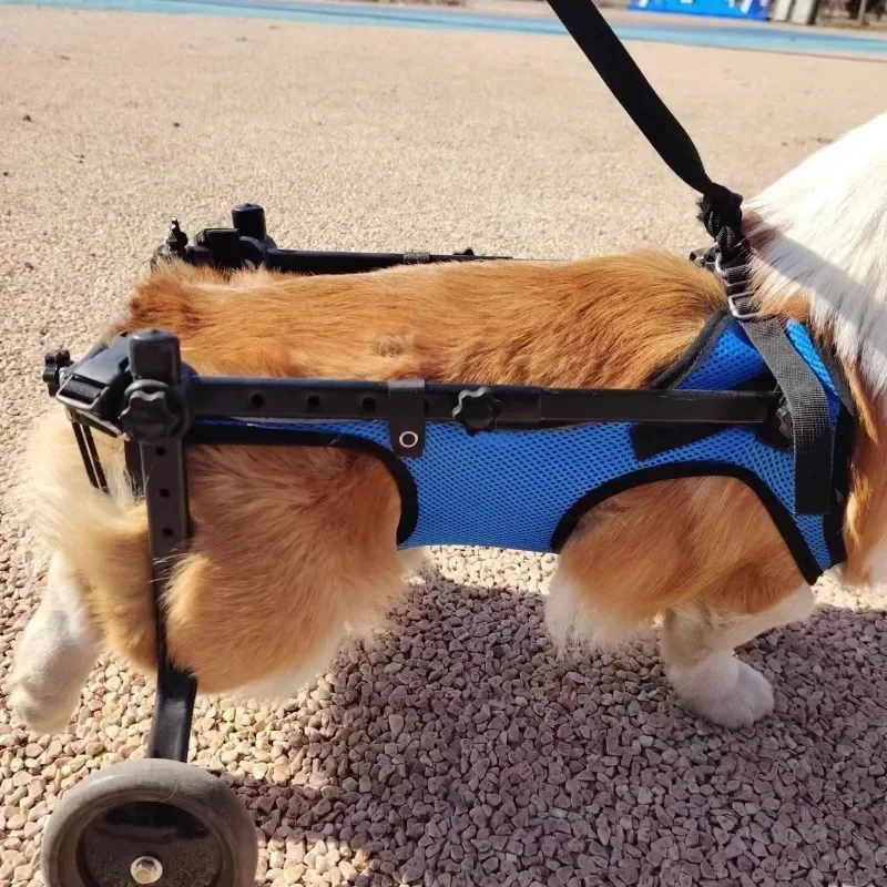 Pet Trolley Adjustable Hind Leg Disabled Pet Dog Mobility Aid Light Rehabilitation Legs Wheelchair Walk Trolley Tools