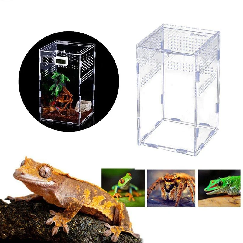 Caja de cría de reptiles acrílica, terrario transparente, hábitat, insectos, arañas, lagartos, escorpión, jaula de alimentación, caja arboreal 4