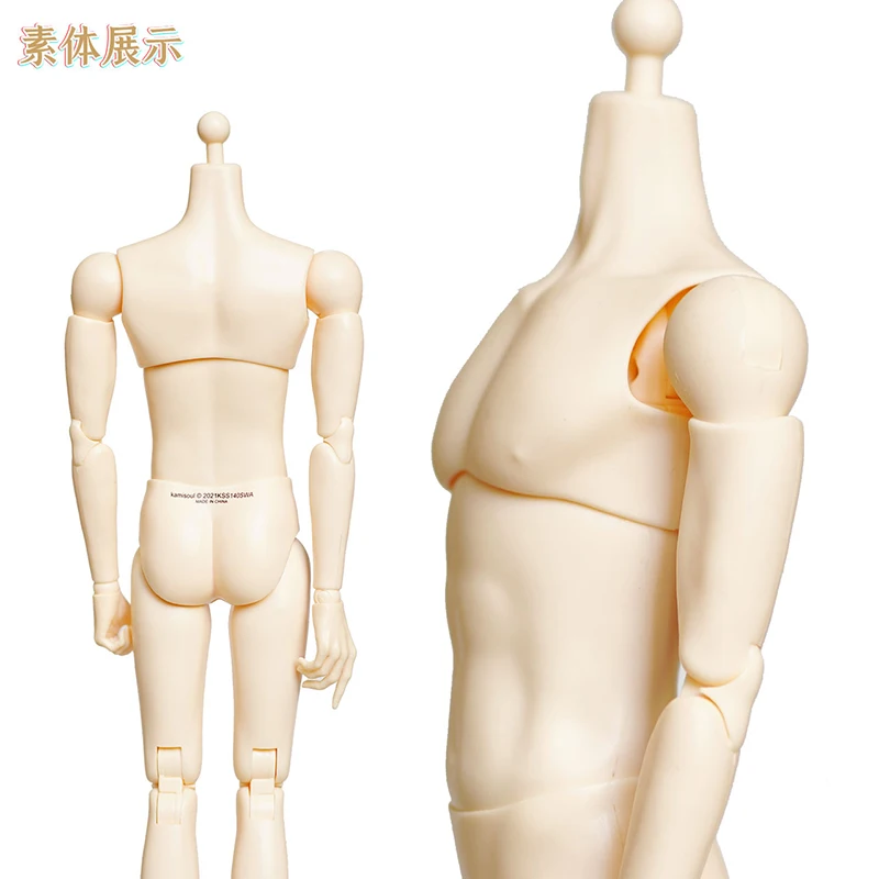 Het Mannelijk Bekken En De Mannelijke BekkenfysiotherapeutThe Male Pelvis And The Male Pelvic Physiotherapist