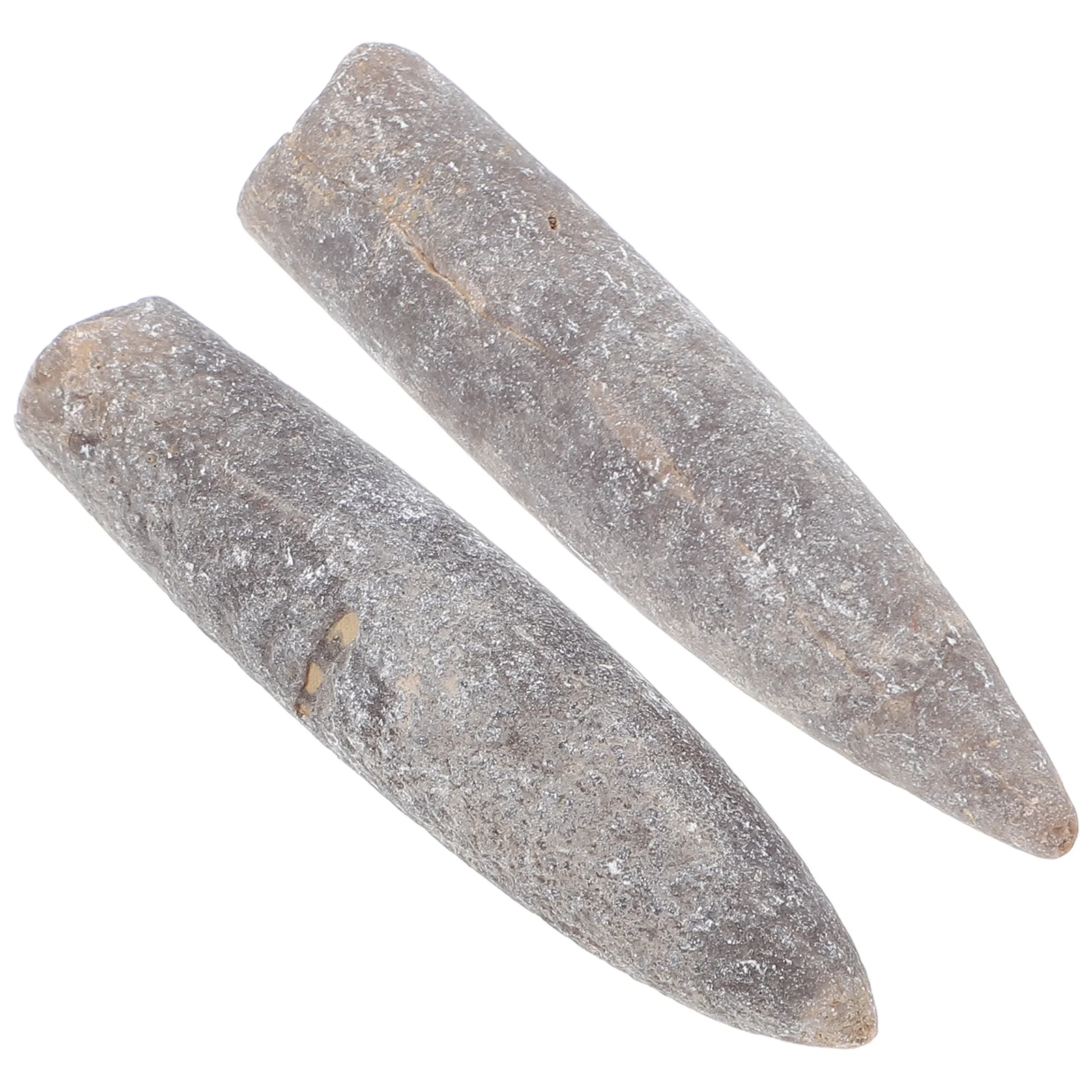 2 Pcs Specimen Natural Belemnite Teaching Supply Home Decor Epifaunal Educational Adornment Models Toys 5