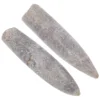 2 Pcs Specimen Natural Belemnite Teaching Supply Home Decor Epifaunal Educational Adornment Models Toys 5