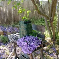 S/M/L Garden Plant Growing Bags PE Vegetable Plant Culture Bag DIY Grow Potatoes Carrots Outdoor Garden Pots 3
