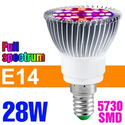 Full Spectrum 28W LED Grow Light Bulb (E14 28W)