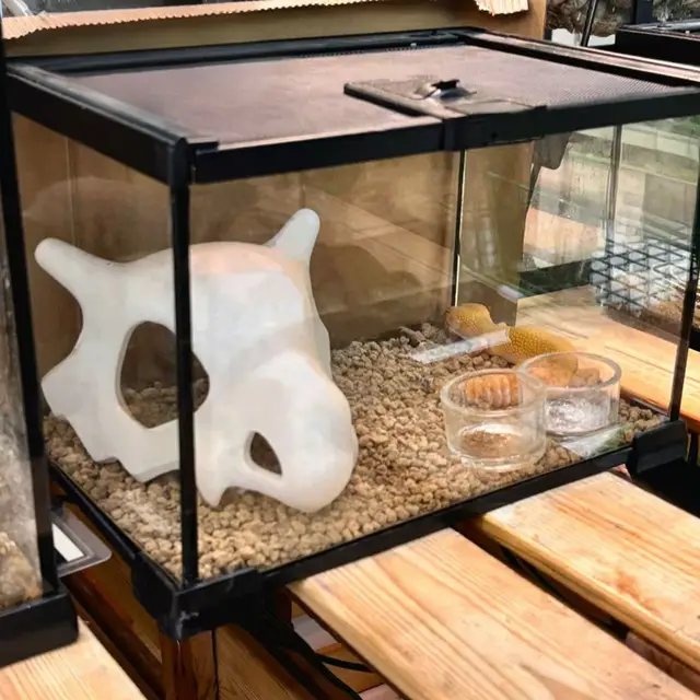 3D Printed Reptile Anime-Style Skull Hideouts,Suitable for Habitat Terrarium Décor Decoration,Aquariums and Fish Tanks,100% Safe 3D Printed Reptile Anime-Style Skull Hideouts,Suitable for Habitat Terrarium Décor Decoration,Aquariums and Fish Tanks,100% Safe